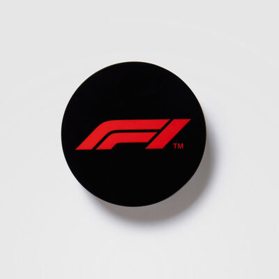 Imán con el logotipo de F1